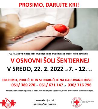 RKS OZ NM ŠENTJERNEJ PUB